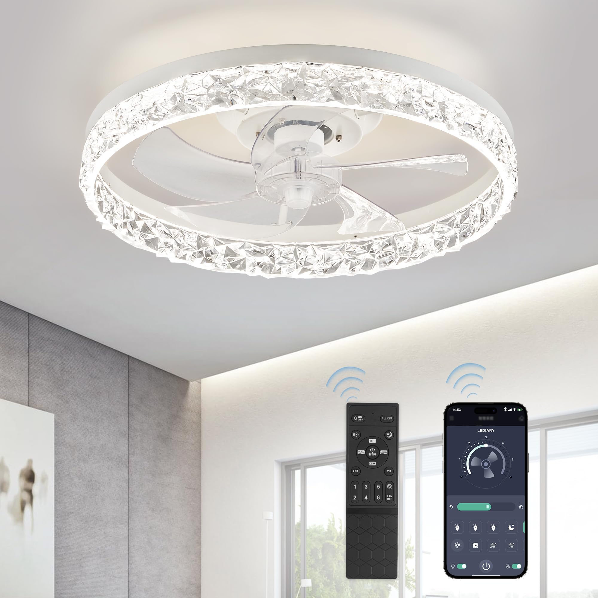 LEDIARY 20" Modern Ceiling Fans with Lights and Remote