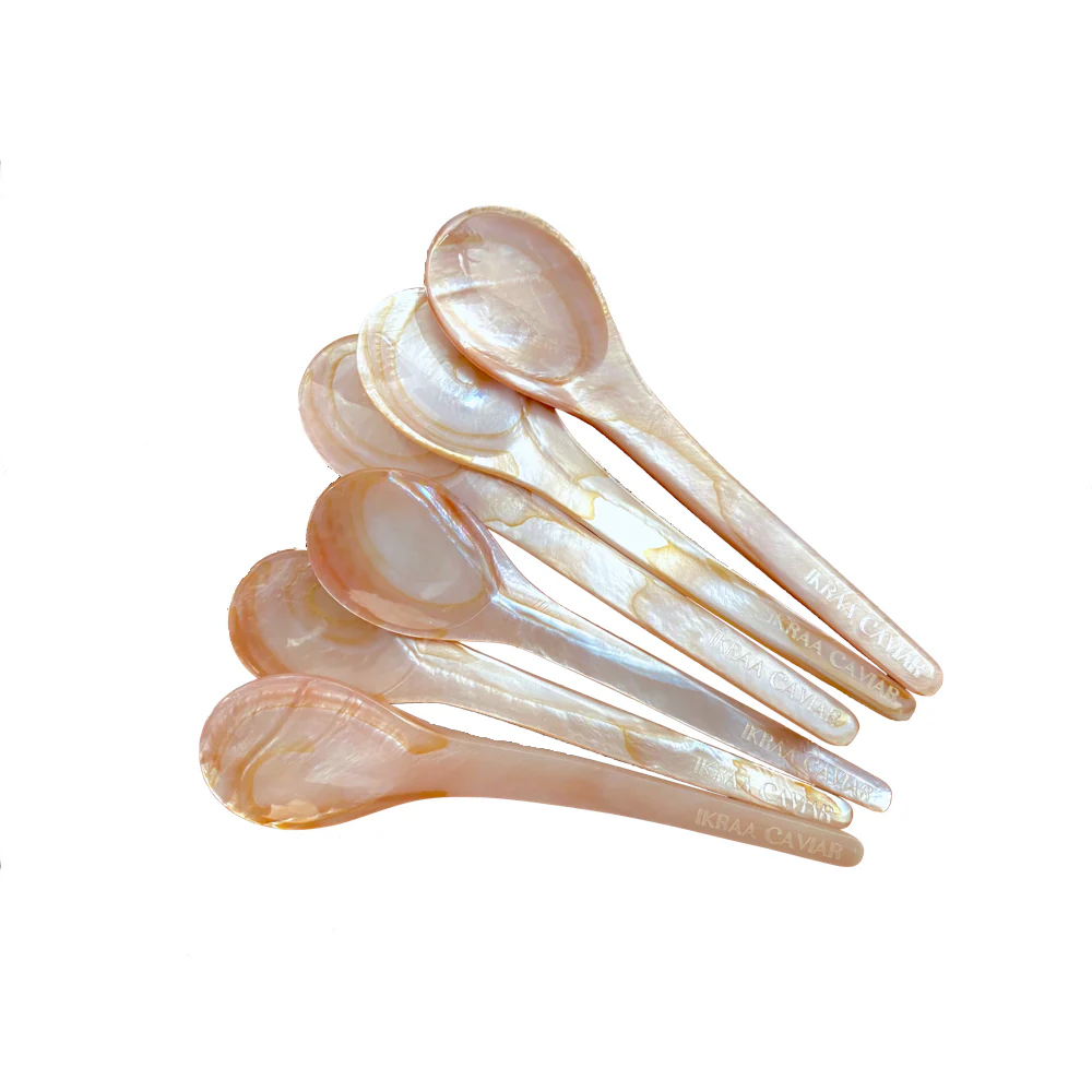 Mother of Pearl Spoon Set of 6