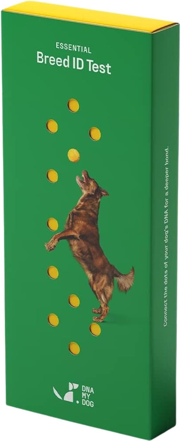 Dna My Dog Essential Breed ID Test �C Accurate Mixed Breed Identification & Personality Insights with Easy Cheek Swab