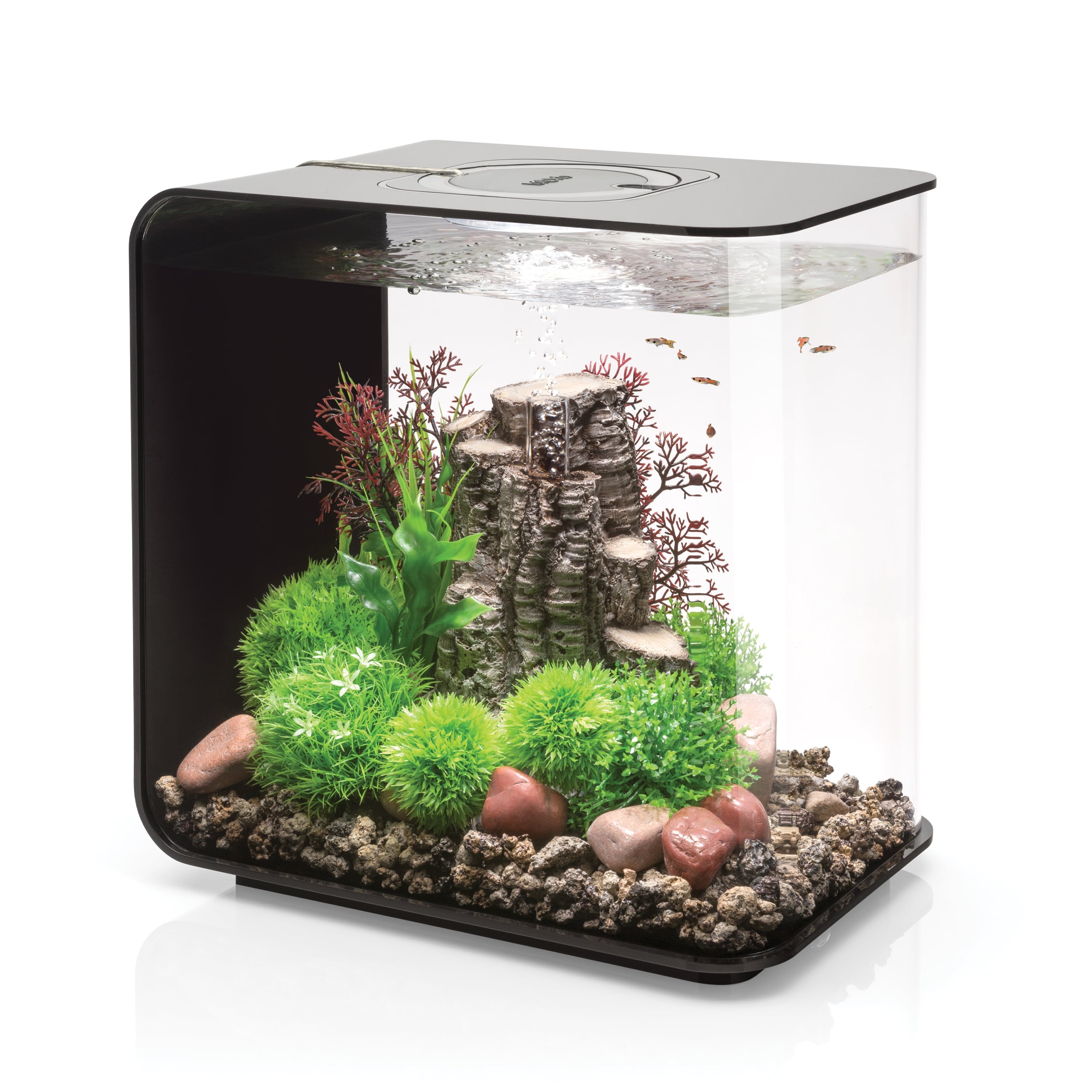 biOrb Flow 30 Aquarium with Standard Light, 8 Gallon, Black