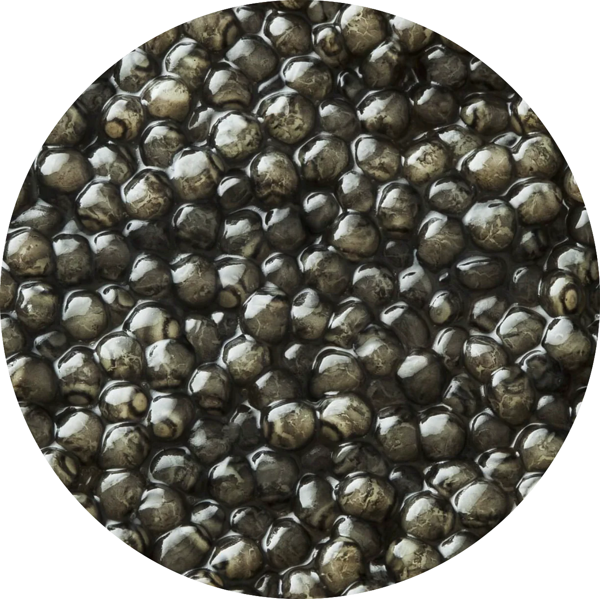 Kaluga Premium Caviar