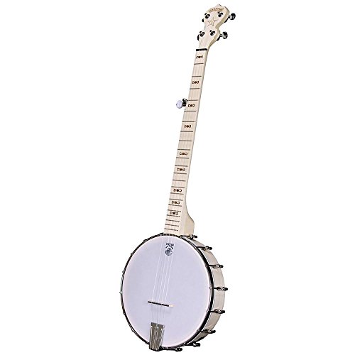 Deering GOODTIME BANJO GT Goodtime