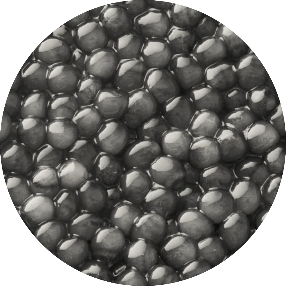 Beluga Hybrid Caviar