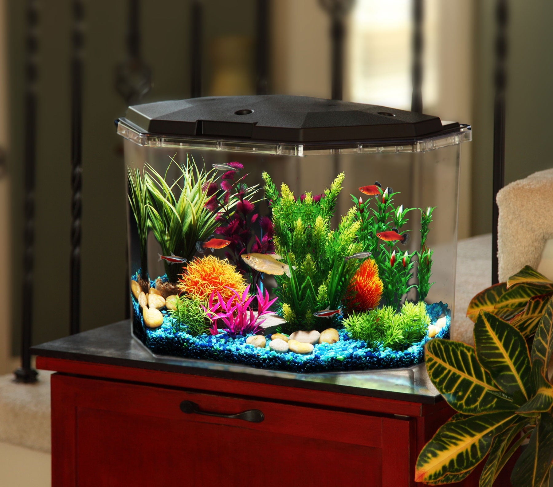 KollerCraft Smart Tank 6.5-Gallon Aquarium Kit, Create Custom LED Light Colors, Monitor Tank Temperature, Schedule Maintenance Reminders and Alerts Easily From Your iPhone or Android